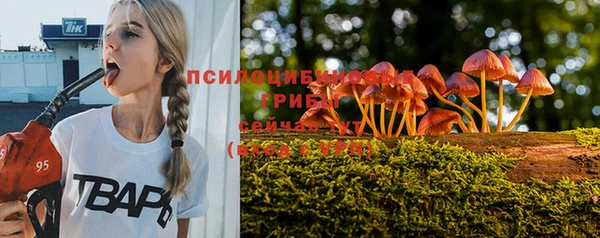 дурь Алзамай