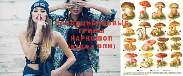 дурь Алзамай