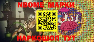 индика Баксан