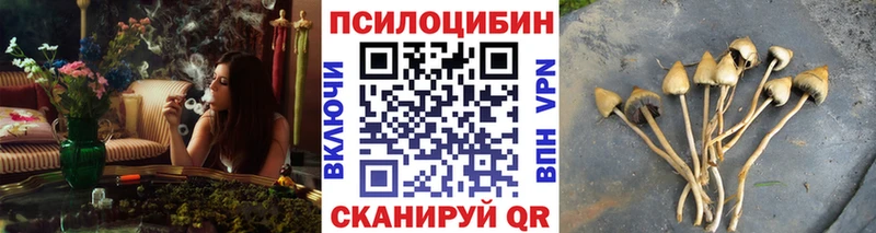 Псилоцибиновые грибы Psilocybine cubensis продажа наркотиков Владивосток