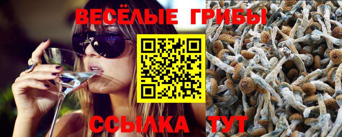 Галлюциногенные грибы мухоморы Владивосток
